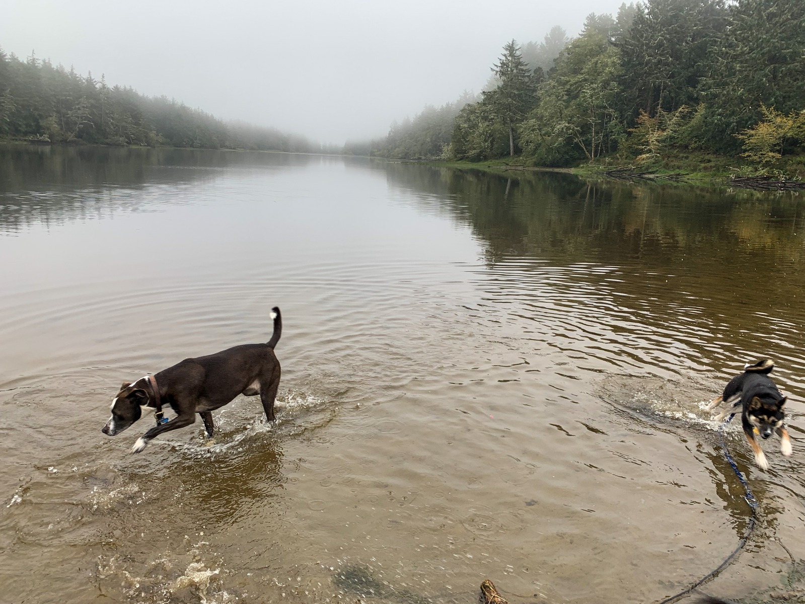 Bert and Barry at Lake