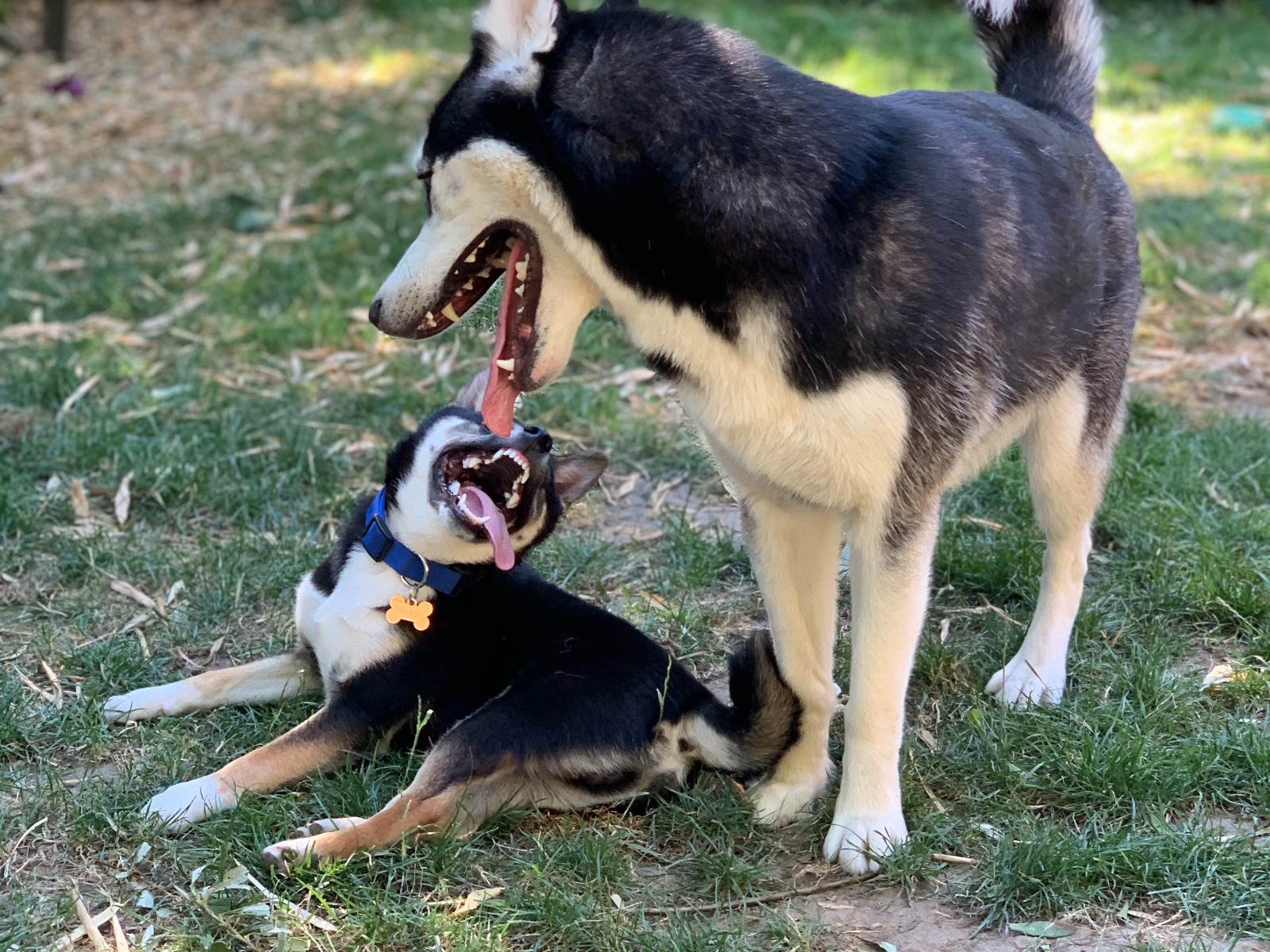 barry and caspian smiling