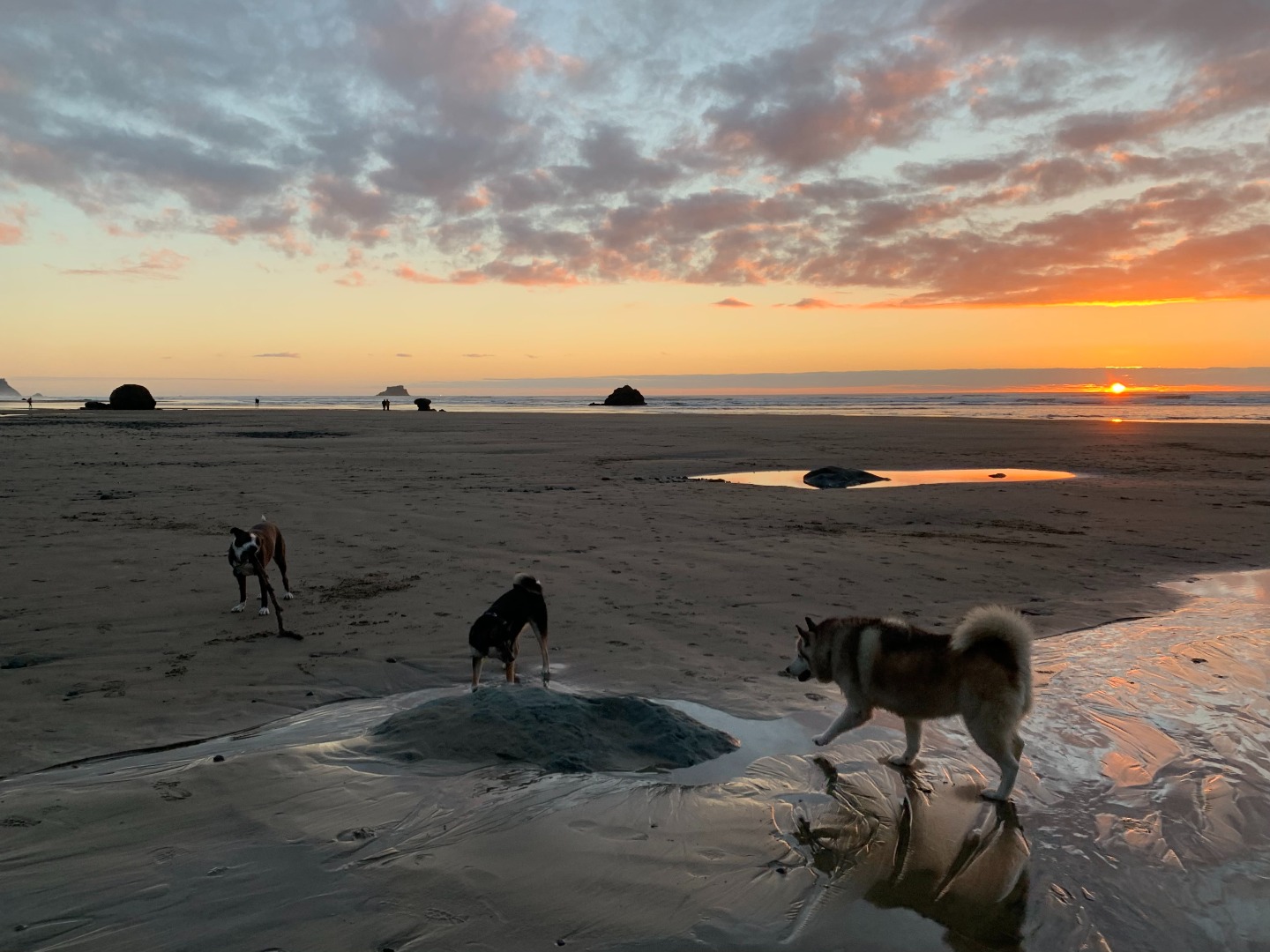 pac on beach sunset