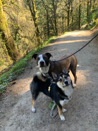 bert and barry forrest park