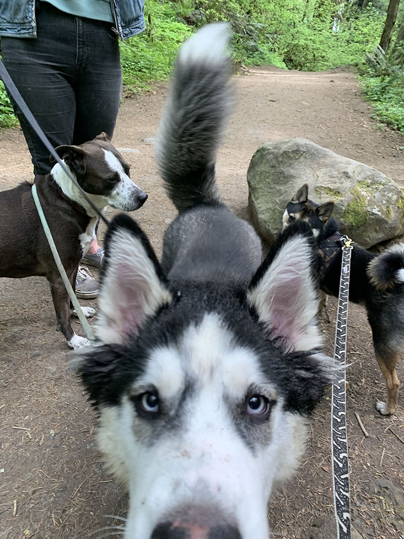 colin with pack