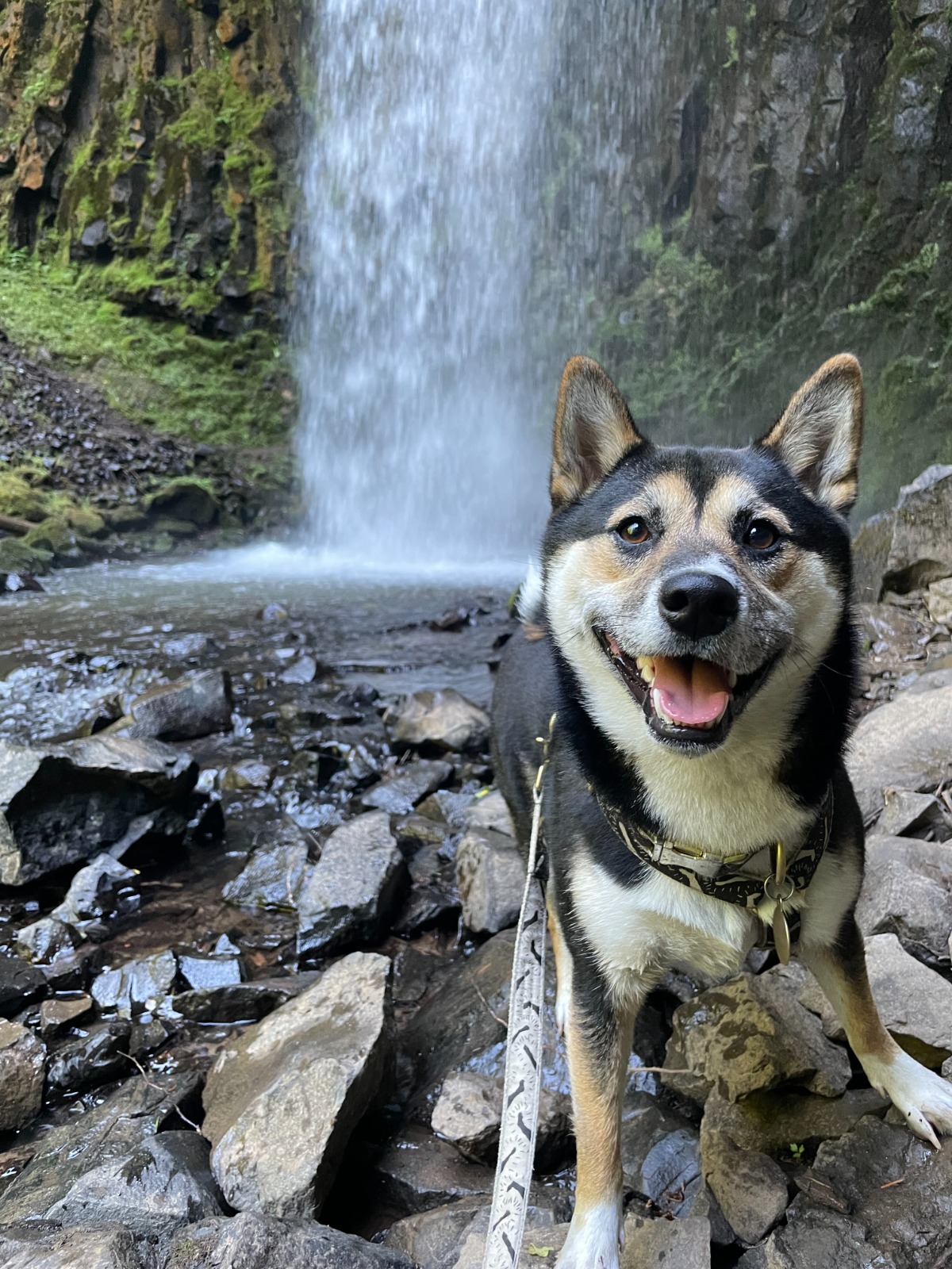 waterfalls and B