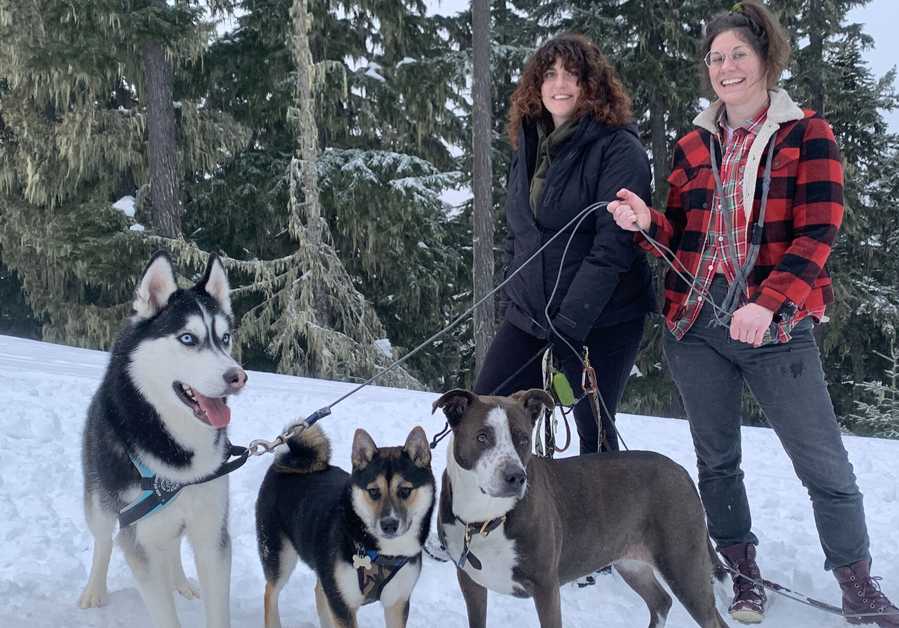 pack at white pass2-pano